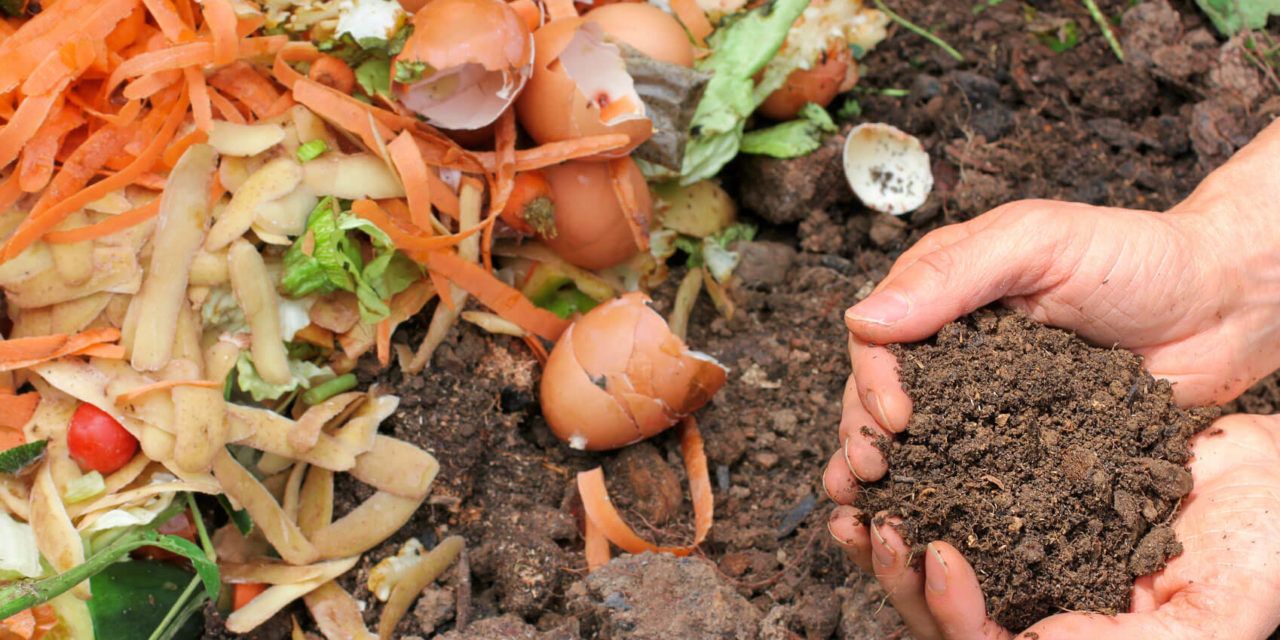 10 Amazing Composting Tips for Beginners