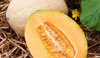 Growing Melons: Tips and Tricks for a Sweet Harvest”