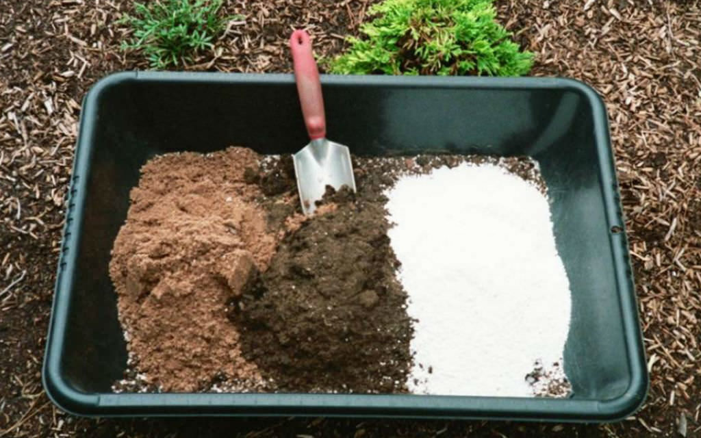 How to Make Potting Soil: DIY Potting Soil
