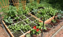 Organic gardening: Tips for growing a garden without the use of chemicals or synthetic fertilizers.
