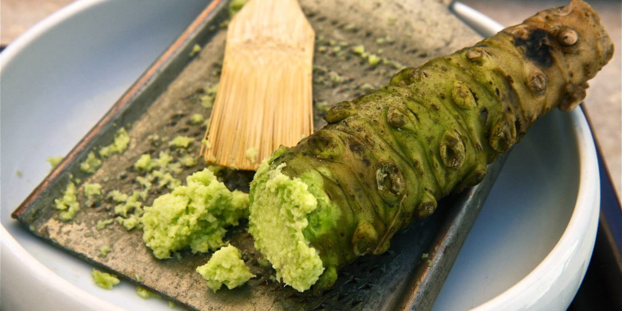 How to Grow Wasabi Root & Wasabi Plant Info