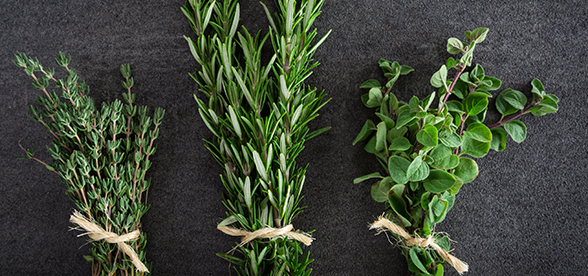 Drought Tolerant Herbs: Herbs That Thrive in Dryness