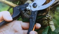 The Essential Gardening Toolkit: Must-Haves for Every Gardener