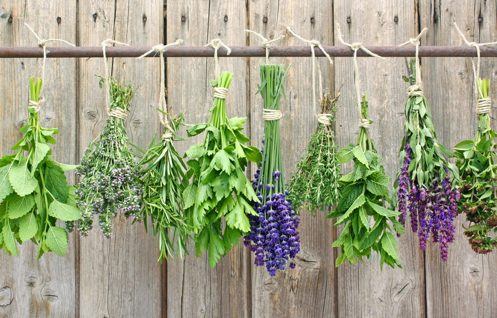 How to Dry Herbs the Right Way
