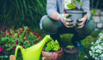 7 Gardening Mistakes Every Beginner Makes