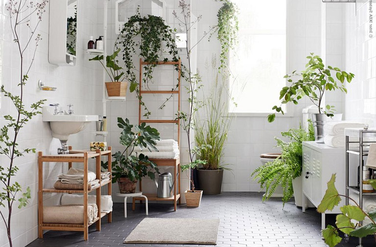 10 Indoor Plants You Can’t Kill