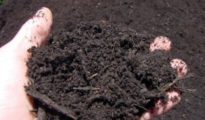 What is Well Draining Soil?