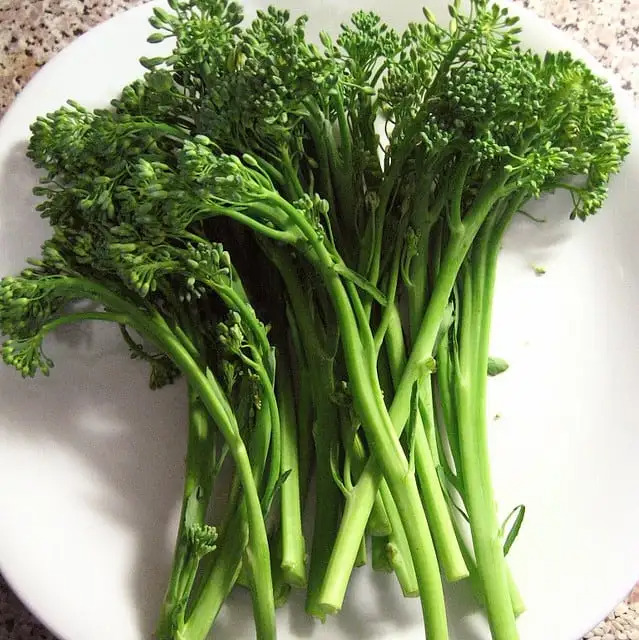 How to Grow Broccolini at Home